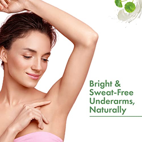 Good Vibes Cica & Milk Nourishing Deodorant Roll On, 50 ml | Bright & Sweat-Free Underarms Naturally With Avocado & Olive Oil | Controls Odour & Soothes Skin | No Parabens, Sulphates & Alcohol
