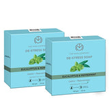 The Man Company De-stress Soap with Eucalyptus & Peppermint | Calms & Rejuvenates | Cooling Effect | Antibacterial & Antifungal | For All Skin Types- 100 gm (Pack of 2)