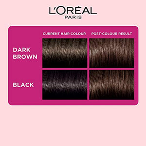 L'Oreal Paris Casting Crème Gloss Conditioning Hair Color, 87.5g + 72ml - Darkest Brown 300 (Pack of 1)