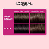 L'Oreal Paris Casting Crème Gloss Conditioning Hair Color, 87.5g + 72ml - Darkest Brown 300 (Pack of 1)