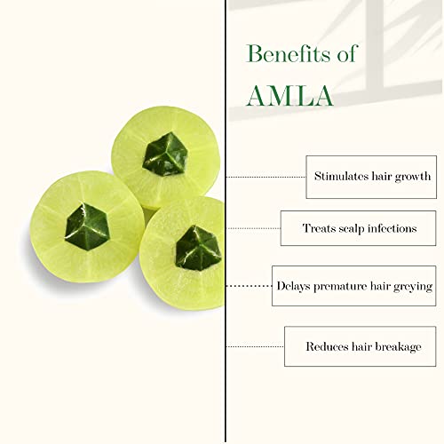 Good Vibes Amla & Bhringraj Strengthening Hair Oil, 100 ml Nourishes Scalp, Reduces Hair Damage, Strengthens Hair Follicles For Dry & Rough Hair | No Parabens, No Sulphates, No Mineral Oil