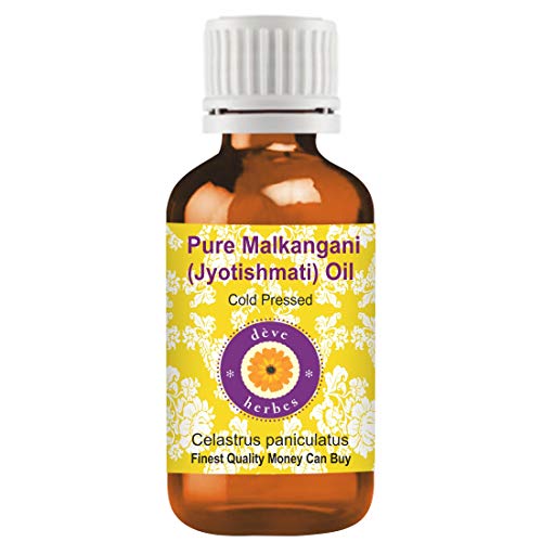 Deve Herbes Pure Malkangani (Malkangani/Jyotishmati) Oil (Celastrus paniculatus) Natural Therapeutic Grade Cold Pressed | Daily Use | 30ml(1.01oz)