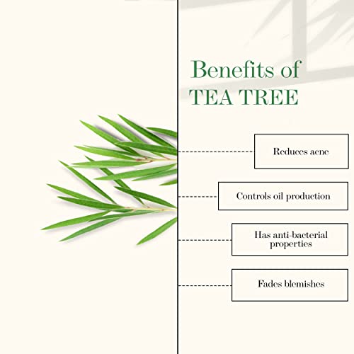 Good Vibes Tea Tree & Mulberry Oil Control & Skin Glow Face Serum, 10 ml Light Weight Moisturizing Face Serum For Oily Skin Helps Reduce Acne & Blemishes, Natural, No Parabens, No Animal Testing