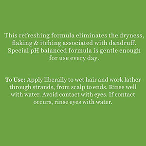Biotique Bio Neem Margosa Anti Dandruff Shampoo and Conditioner, 340ml