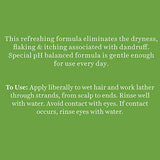 Biotique Bio Neem Margosa Anti Dandruff Shampoo and Conditioner, 340ml