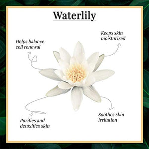 Good Vibes Refreshing Shower Gel Combo - Waterlily (200 ml bottle + 200 ml Pouch)
