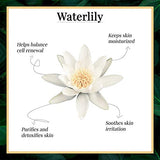 Good Vibes Refreshing Shower Gel Combo - Waterlily (200 ml bottle + 200 ml Pouch)