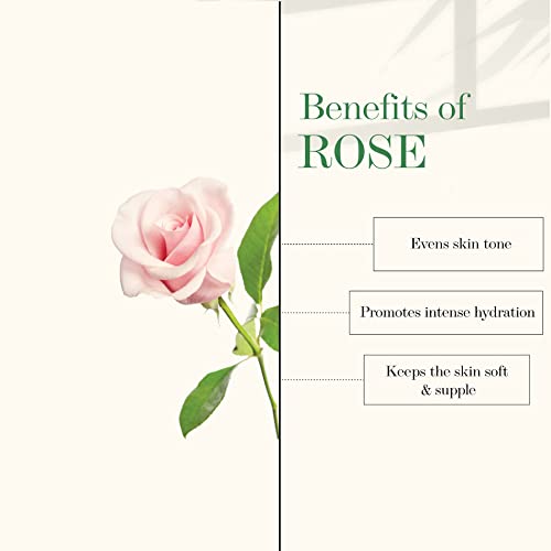 Good Vibes Rose Hydrating Face Mask, 100 g | Moisturizing, Softening Face Pack For All Skin Types | Adds Glow & Brightens Skin | No Parabens, Sulphates & Mineral Oil