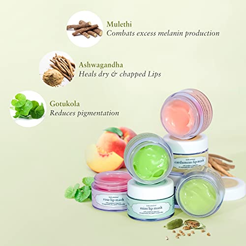 Just Herbs Ayurvedic Cardamom Lip Mask, Balm For Dark, Dry & Pigmented Lips - Vegan Lip Mask For Men & Women 15gm
