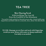 Biotique Tea Tree Skin Clearing Face Scrub for Normal to Oily Skin, 50g