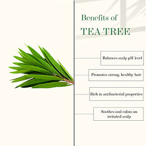 Good Vibes Tea Tree & Rosemary Anti Dandruff Hair Oil, 100 ml Moisturizes Hair, Hydrates Nourishes Soothes Scalp | For Rough & Dry Scalp & Hair | No Parabens, No Sulphates, No Mineral Oil