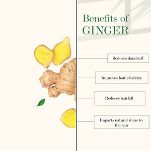 Good Vibes Ginger Anti Dandruff Shampoo Refill Pack (750 ml)