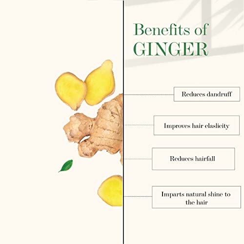 Good Vibes Ginger Anti Dandruff Shampoo Refill Pack (750 ml)