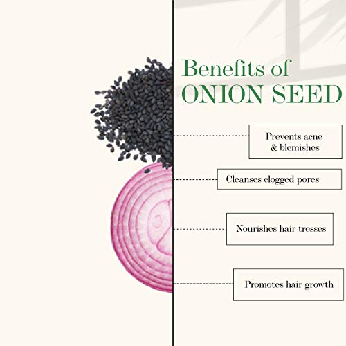 Good Vibes 100% Pure Onion Seed Essential Oil (10 ml)