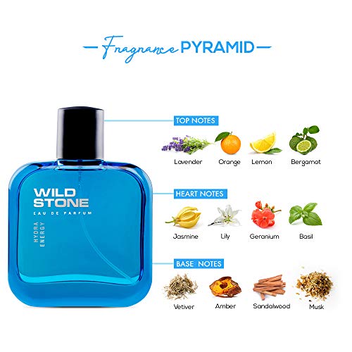 Wild Stone Hydra Energy Perfume for Men, 50 ml