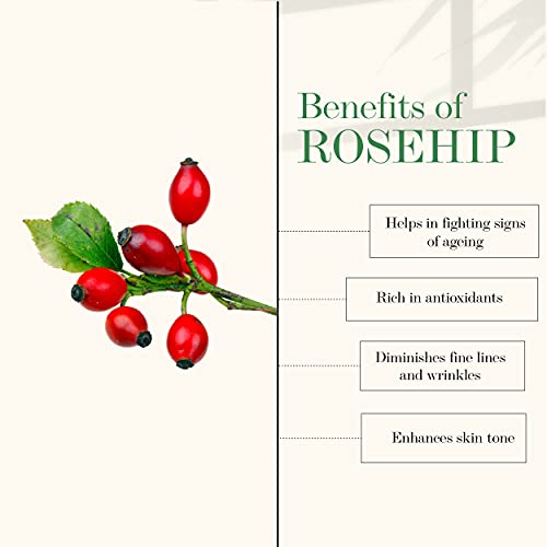 Good Vibes Rosehip Moisture-Rich Face Cream, 100 g Skin Moisturizing Hydrating Light Weight Formula, Soothes & Exfoliates Skin, Natural, No Parabens & Sulphates, No Animal Testing