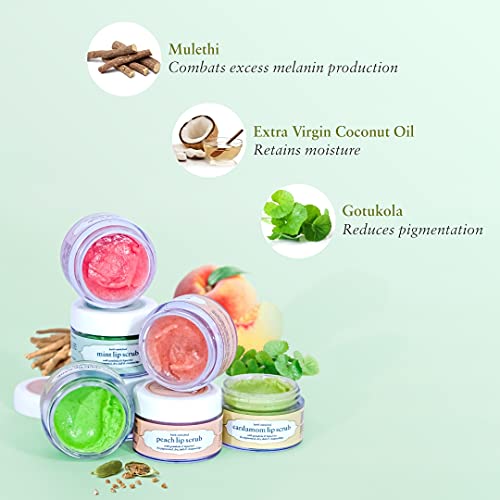 Just Herbs Ayurvedic Mint Lip Scrub For Dry,Chapped & Smoker Lips - SLS & Paraben Free 15gm