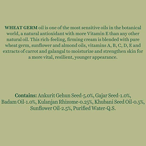 Biotique Wheat Germ Anti- Ageing Night Cream Reduces Fine Lines Lightens dark Spots, 50g