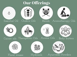 Deve Herbes Pure Malkangani (Malkangani/Jyotishmati) Oil (Celastrus paniculatus) Natural Therapeutic Grade Cold Pressed | Daily Use | 30ml(1.01oz)