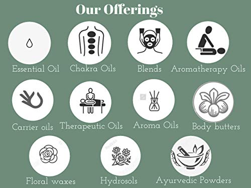 Deve Herbes Pure Malkangani (Malkangani/Jyotishmati) Oil (Celastrus paniculatus) Natural Therapeutic Grade Cold Pressed | Daily Use | 30ml(1.01oz)