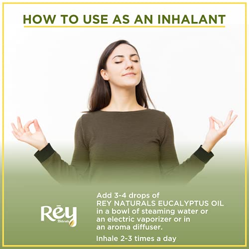 Rey Naturals Eucalyptus Oil, 15 ML 100% Natural For Aromatherapy & Aroma Diffusers For Massage Over Skin, Muscle & Joints
