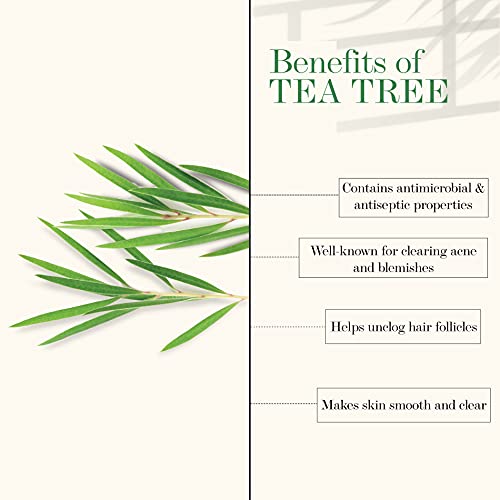 Good Vibes Essential Oils Combo Kit (Tea Tree 10ml + Rosemary 10ml)