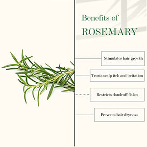 Good Vibes Tea Tree & Rosemary Anti Dandruff Hair Oil, 100 ml Moisturizes Hair, Hydrates Nourishes Soothes Scalp | For Rough & Dry Scalp & Hair | No Parabens, No Sulphates, No Mineral Oil