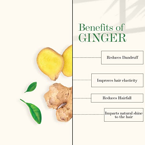 Good Vibes Anti Dandruff Shampoo - Ginger (300 ml) for Women