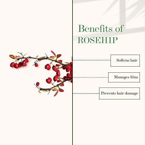 Good Vibes Rosehip Hair Shine Conditioner - 200 ml - For Dry, Dull and Frizzy Hair - Hydrate Nourish for Shiny and Soft Hair - Cruelty and Paraben Free