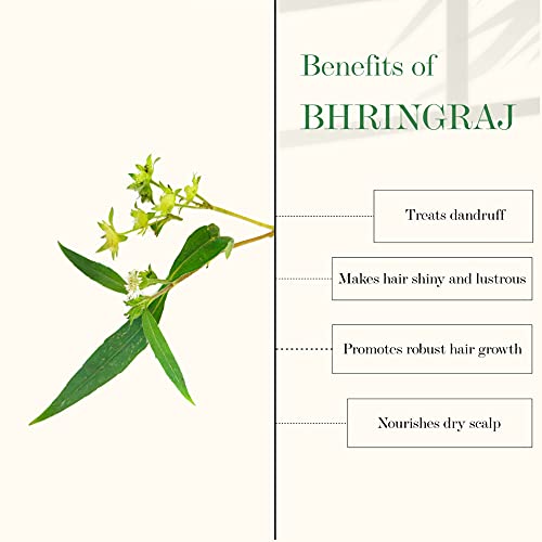 Good Vibes Amla & Bhringraj Strengthening Hair Oil, 100 ml Nourishes Scalp, Reduces Hair Damage, Strengthens Hair Follicles For Dry & Rough Hair | No Parabens, No Sulphates, No Mineral Oil