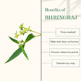 Good Vibes Amla & Bhringraj Strengthening Hair Oil, 100 ml Nourishes Scalp, Reduces Hair Damage, Strengthens Hair Follicles For Dry & Rough Hair | No Parabens, No Sulphates, No Mineral Oil