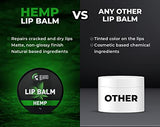 Beardo Hemp Lip Balm (7g) Lip Care for Dry & Chapped Lips | dark lips to lighten | moisturizes and repairs your lips