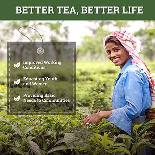 Twinings Lemon Tea, 25 Teabags, Premium Black Tea with Lemon, English Classic Taste, Light Strength, Bright and Zesty Flavor