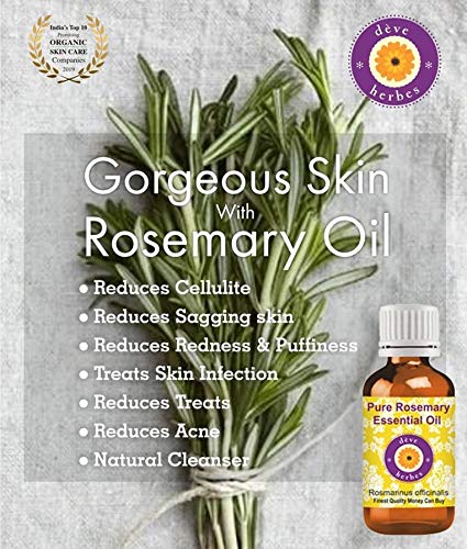 Deve Herbes Rosemary Essential Oil (Rosmarinus officinalis) Natural Therapeutic Grade Steam Distilled with Glass Dropper 15ml