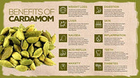 Miltop Premium Cardamom Green Whole (ELAICHI), 100g
