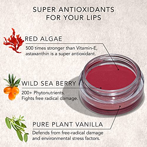 DAUGHTER EARTH Super Antioxidant Lip Tint and Cheek Tint, Matte Finish - Rouge Rose