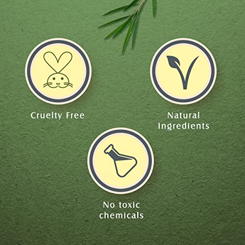 Lotus Herbals Teatreewash Face Wash | with Tea Tree Oil & Cinnamon | Anti Acne | Oil Control | For Oily Skin | 120ml