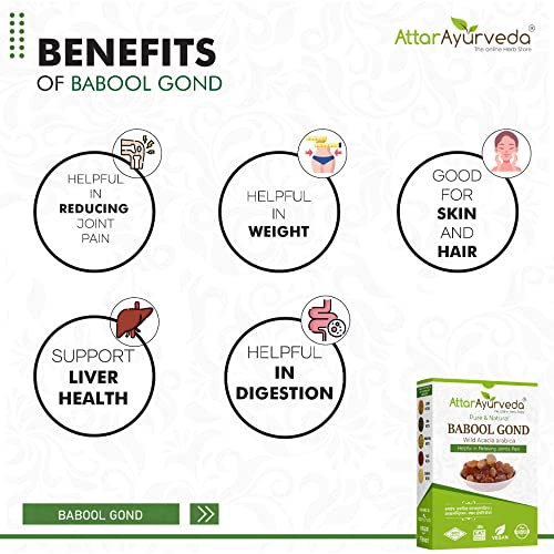 Attar Ayurveda Babul Gond Gum - Kikar Gond - Babool Gond - Acacia arabica Willd (250 Grams)