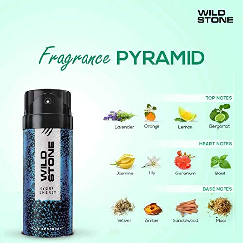 Wild Stone Edge and Hydra Energy Long Lasting Deodorants for Men, Pack of 2 (150ml each)