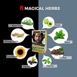 INDUS VALLEY Natural Damage Free Beard Hair Color ,Black (100g)
