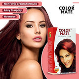 Color Mate Hair Color Cream, Burgundy, 130ml (Pack of 2)