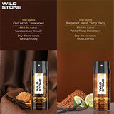 Wild Stone Classic Leather and Musk Body Deodorants for Men, Pack of 2 (225ml each)