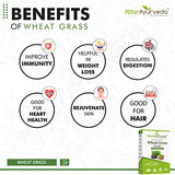 Attar Ayurveda Wheat Grass Powder (100 Gram)