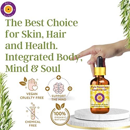 Deve Herbes Rosemary Essential Oil (Rosmarinus officinalis) Natural Therapeutic Grade Steam Distilled with Glass Dropper 15ml
