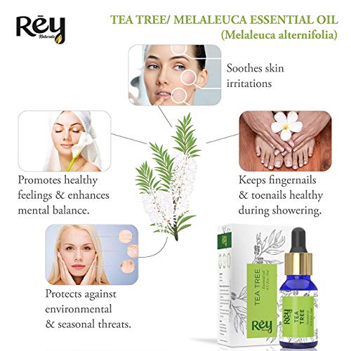 Rey Naturals Tea tree oil for Aromatherapy - Tea Tree Essential Oil for Healthy Skin, Face, and Hair - 100% Organic Remedy for Dandruff, Acne - 30 ml (15 ml x 2) super saver combo