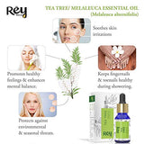Rey Naturals Tea tree oil for Aromatherapy - Tea Tree Essential Oil for Healthy Skin, Face, and Hair - 100% Organic Remedy for Dandruff, Acne - 30 ml (15 ml x 2) super saver combo