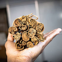 The Natures Way Ceylon Cinnamon Stick True Cinnamon of Sri Lanka - 100 g (Pack of 1)