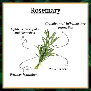Good Vibes Rosemary Face Wash - 200 ml - Imparts Hydration and Makes Skin Visibly Clear - Cruelty Free