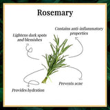 Good Vibes Rosemary Face Wash - 200 ml - Imparts Hydration and Makes Skin Visibly Clear - Cruelty Free