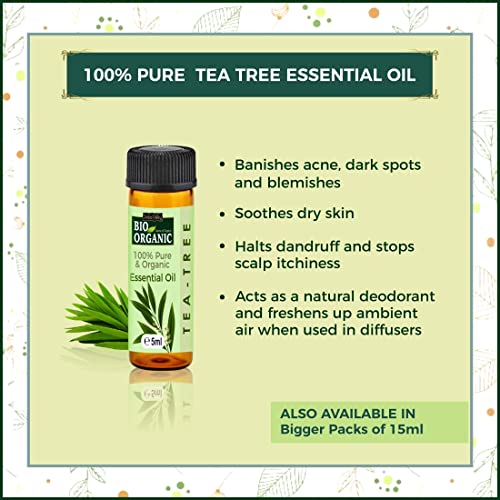 INDUS VALLEY Natural Oil Removal Face Pack Multani Mitti,Cucumber Toner, Tea Tree Oil (30g , 50ml+ 5ml=55ml)